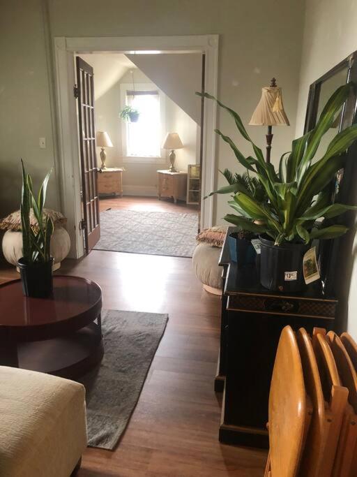 Redefined Alchemy - Bright, Eclectic, Pretty Apt 3E Little Falls Εξωτερικό φωτογραφία